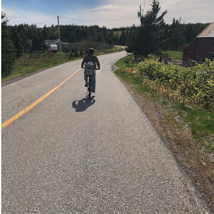 bike with baby seat on country road