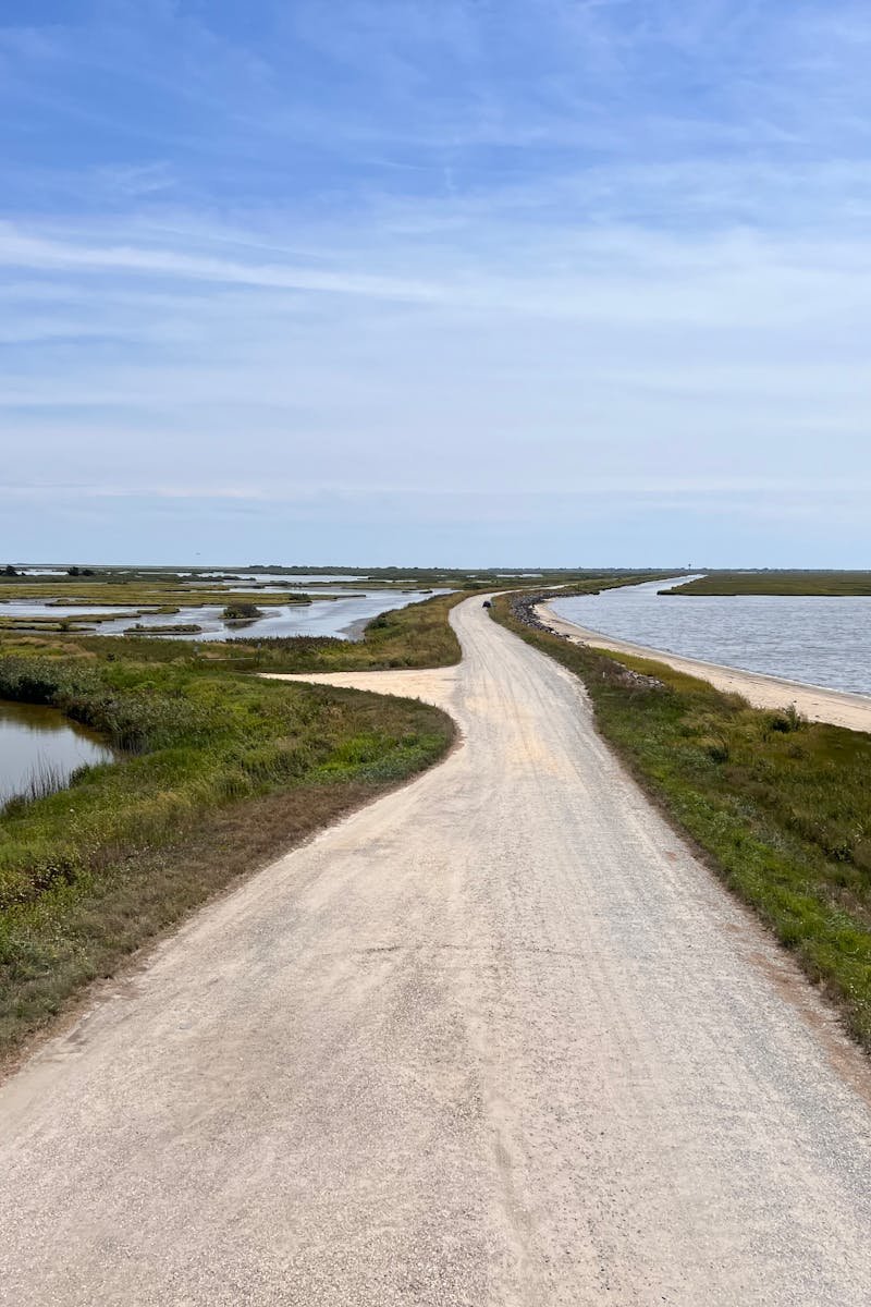 Tranquil coastal road through marshland under a clear blue sky, perfect for summer travel inspiration.