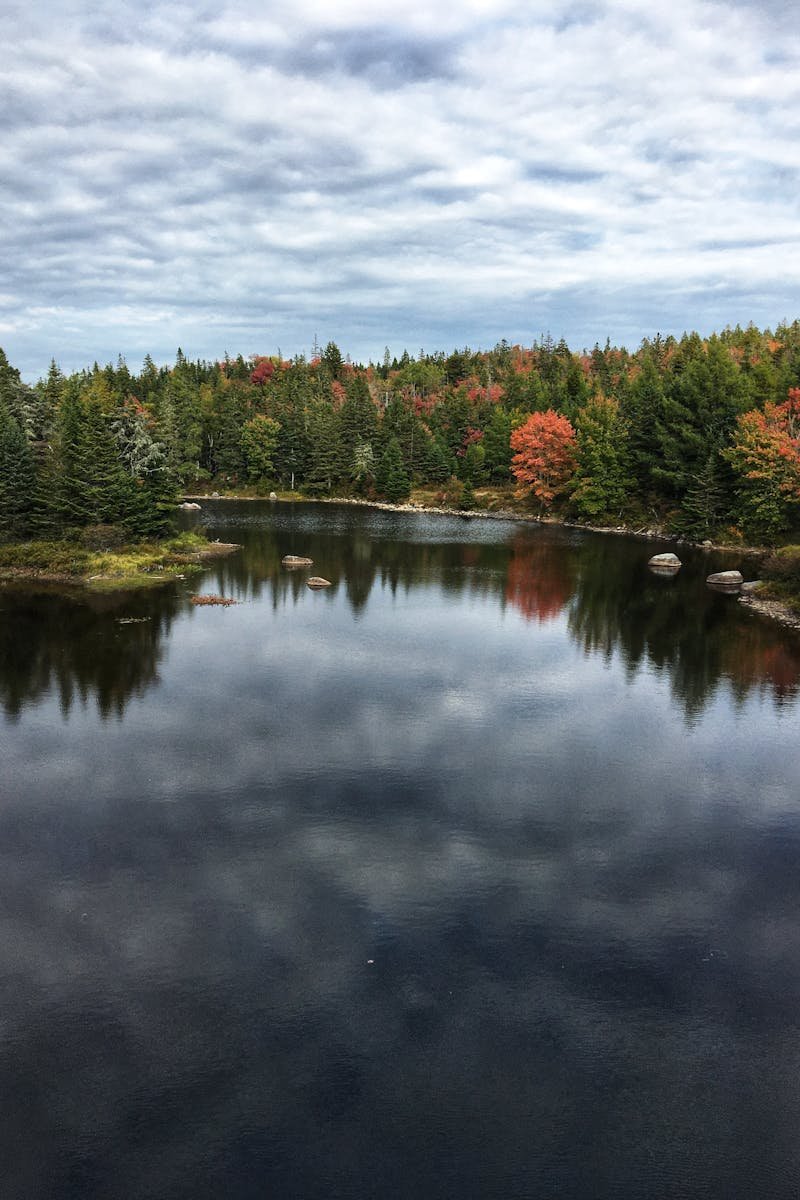 Captivating autumn foliage reflecting on a tranquil lake in Nova Scotia.